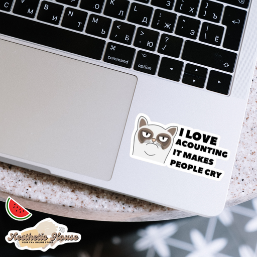 Accounting Sticker