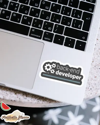 Backend developer Sticker